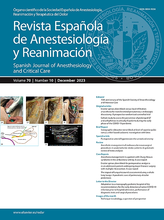 Go to journal home page - Revista Española de Anestesiología y Reanimación (English Edition)